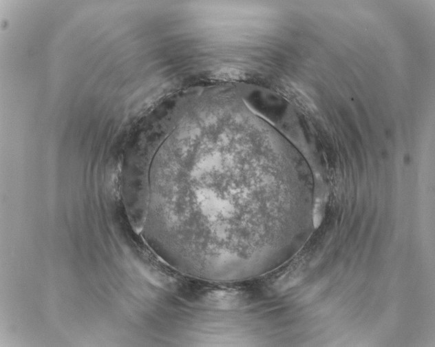 X0000087380364200705041951