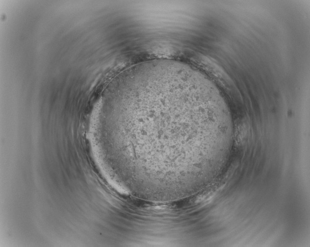 X0000087380365200705041951