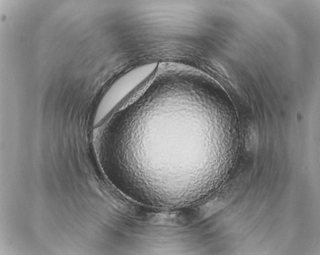 X0000087380366200705041951