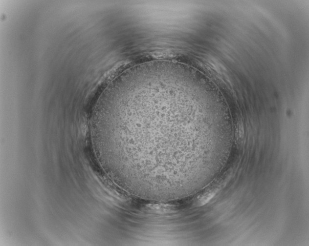 X0000087380367200705041951