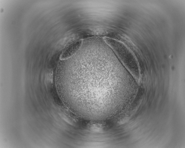 X0000087380368200705041951