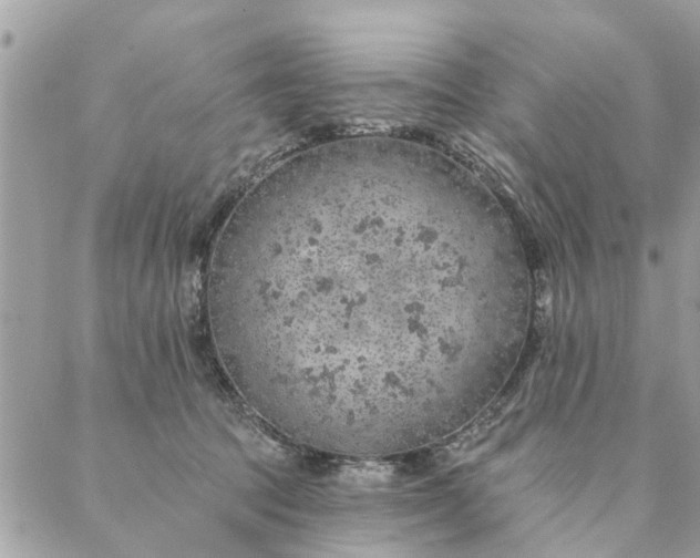 X0000087380369200705041951