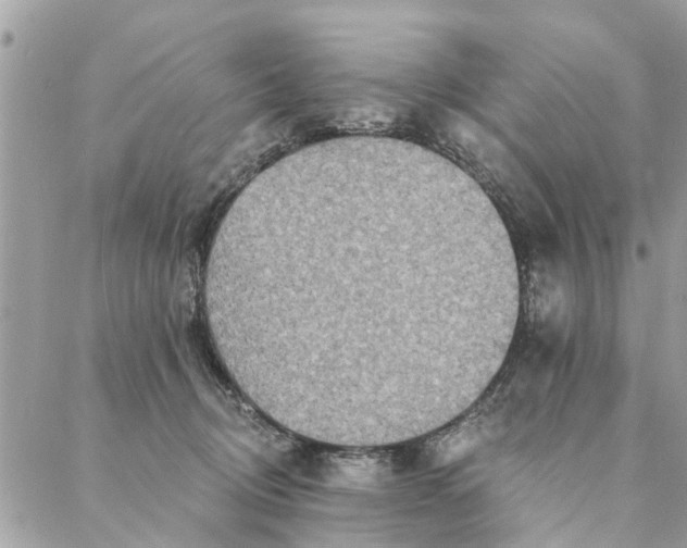 X0000087380370200705041951