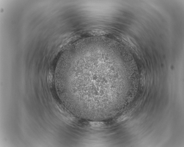 X0000087380371200705041951