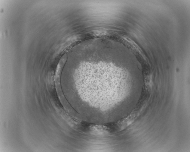 X0000087380372200705041951