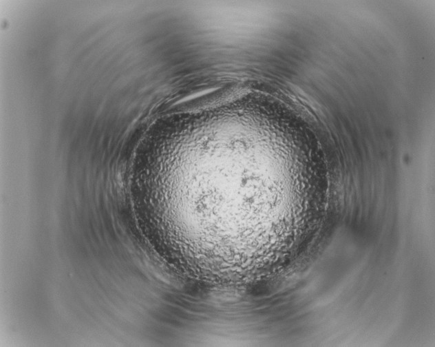 X0000087380373200705041951