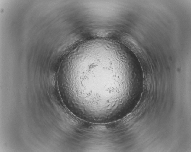 X0000087380374200705041951