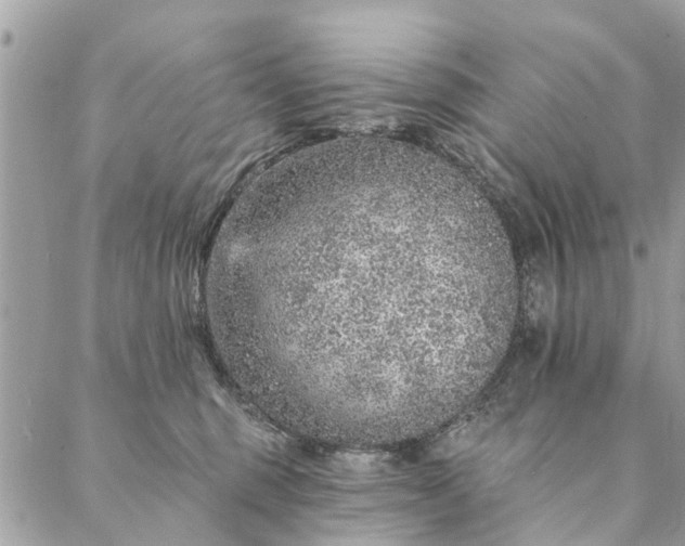 X0000087380375200705041951