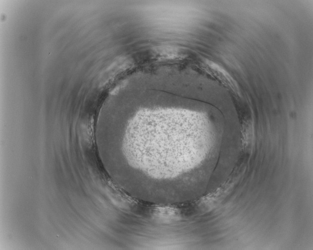 X0000087380376200705041951