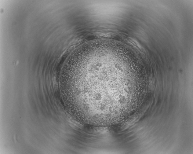 X0000087380377200705041951