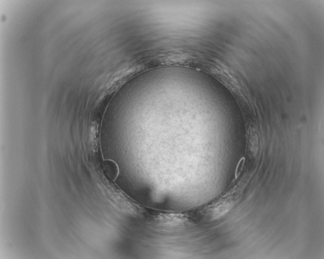 X0000087380378200705041951