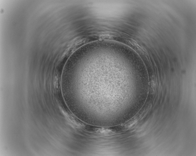 X0000087380379200705041951