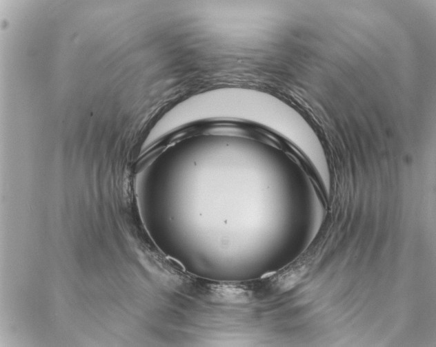 X0000087380380200705041951