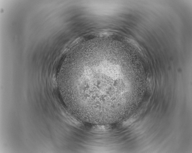 X0000087380381200705041951