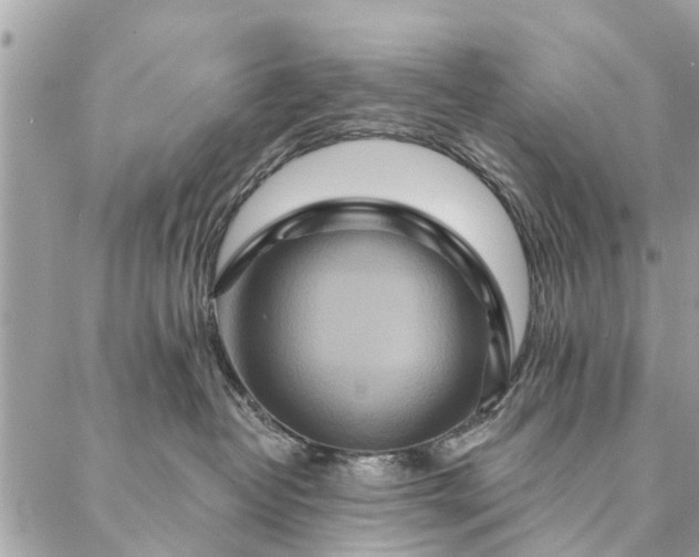 X0000087380382200705041951