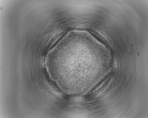 X0000087380383200705041951