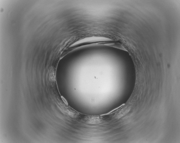 X0000087380384200705041951