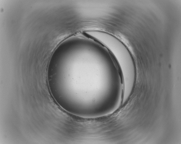 X0000087380385200705041951