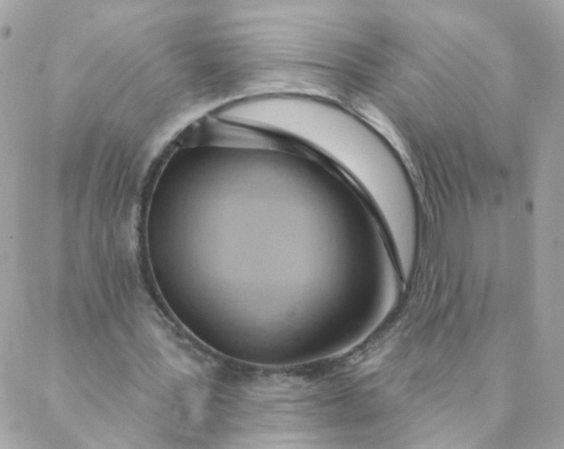 X0000087380387200705041951