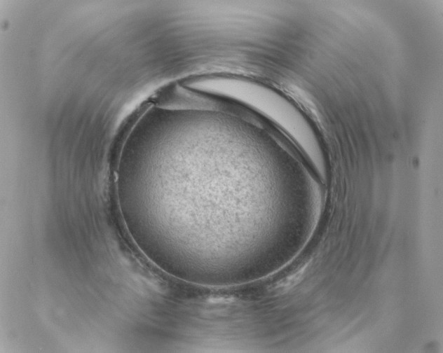 X0000087380388200705041951