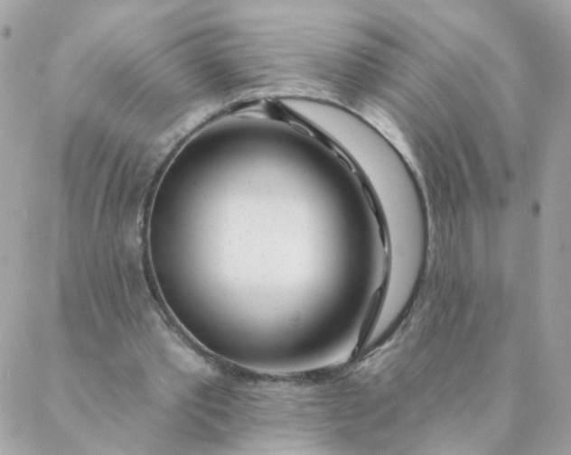 X0000087380389200705041951