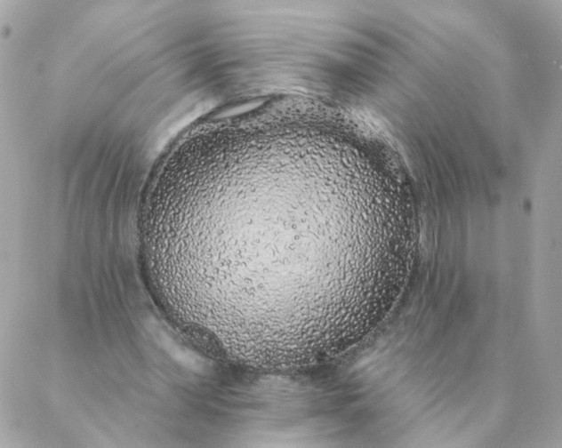 X0000087380390200705041950