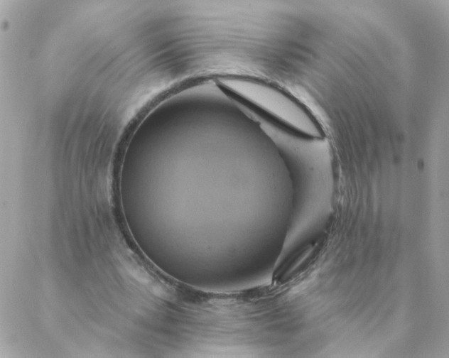 X0000087380391200705041950