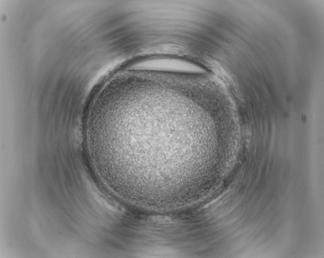 X0000087380392200705041950