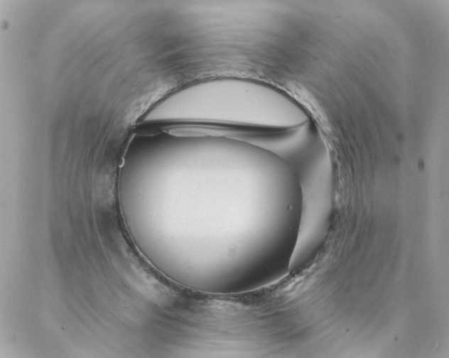 X0000087380393200705041950