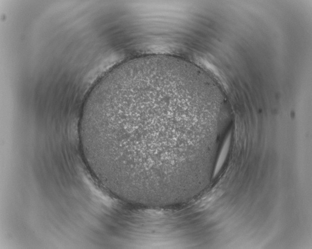 X0000087380394200705041950