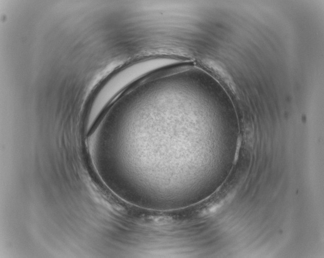 X0000087380395200705041950