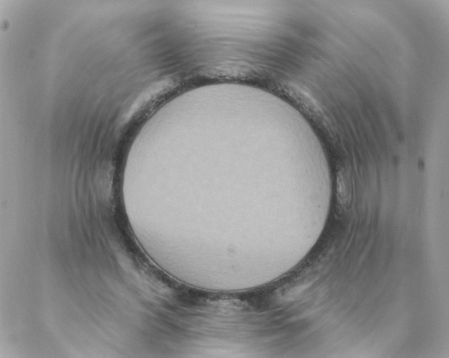 X0000087380396200705041950