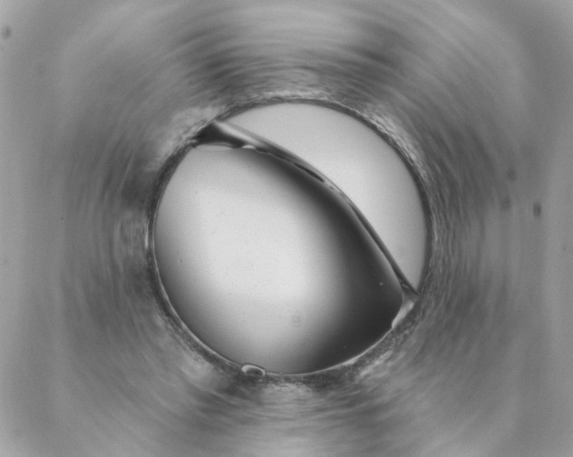 X0000087380397200705041950