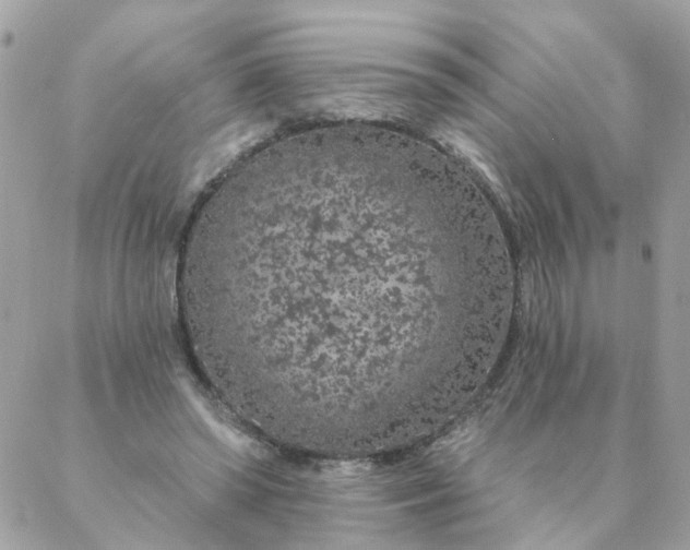 X0000087380398200705041950