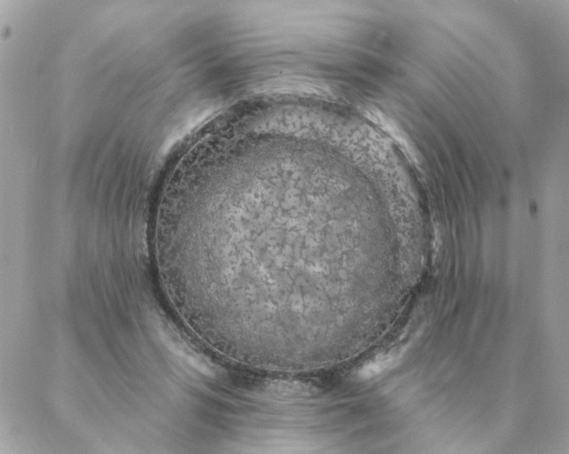 X0000087380399200705041950