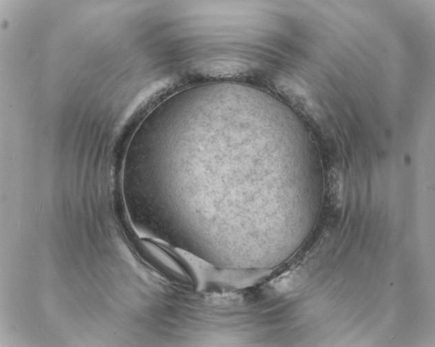 X0000087380400200705041950