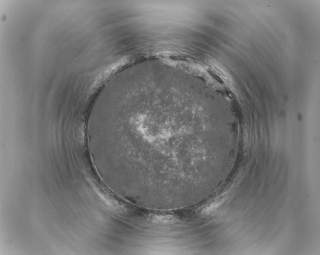 X0000087380401200705041950