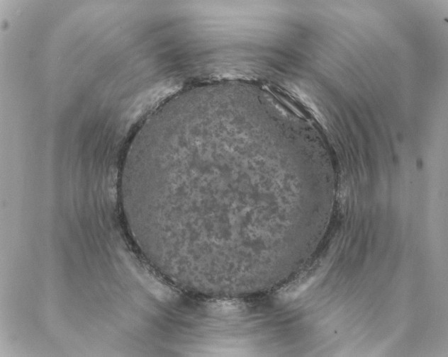 X0000087380402200705041950