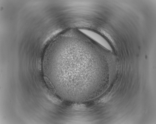 X0000087380403200705041950