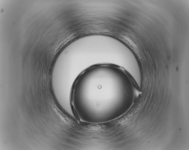 X0000087380405200705041950