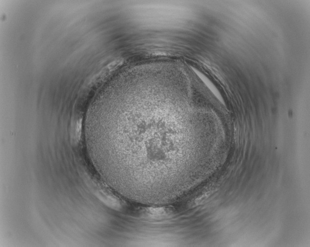 X0000087380406200705041950