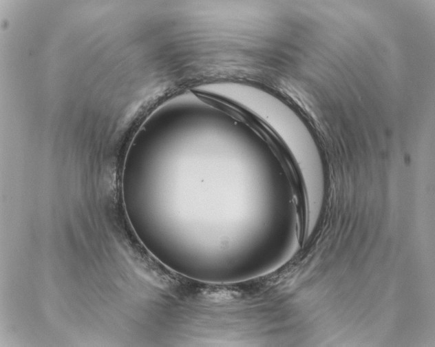 X0000087380407200705041950