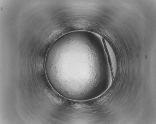 X0000087380408200705041950