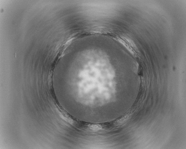 X0000087380409200705041950