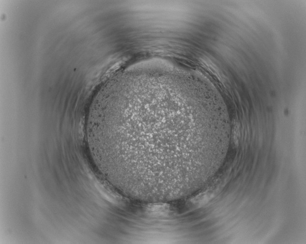 X0000087380410200705041950