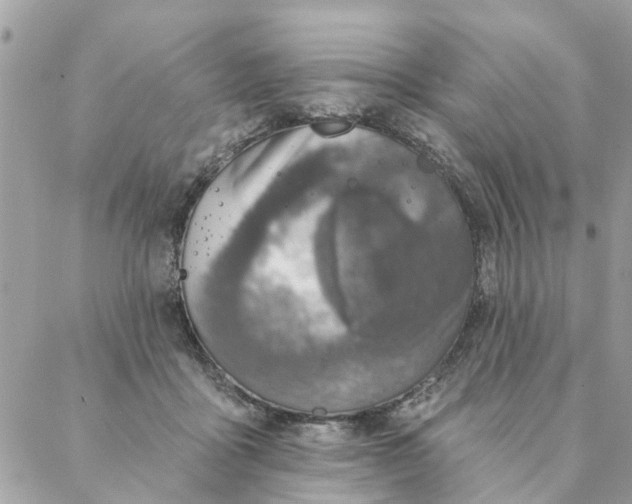 X0000087380411200705041950