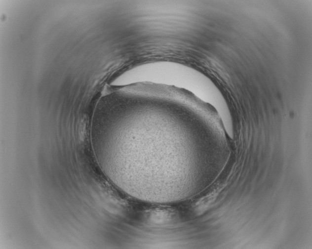 X0000087380412200705041950