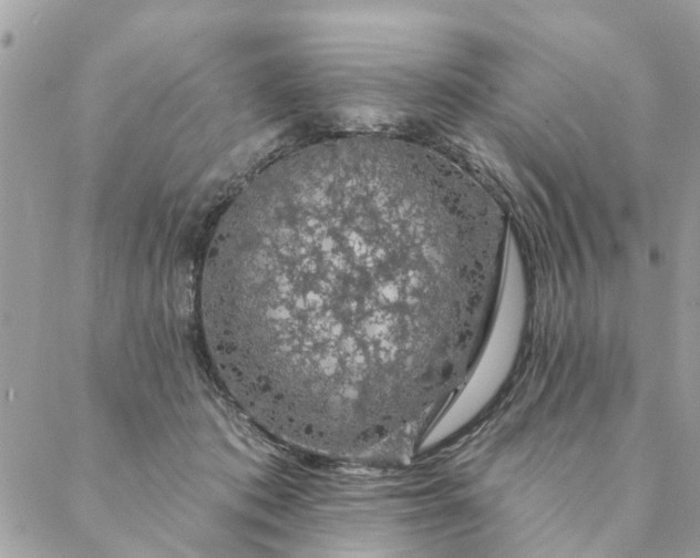 X0000087380413200705041950