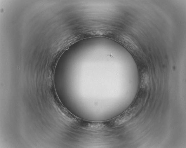 X0000087380414200705041950