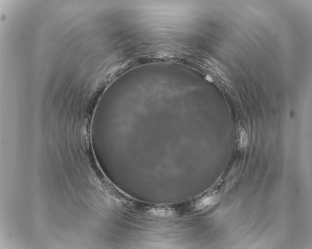 X0000087380415200705041950